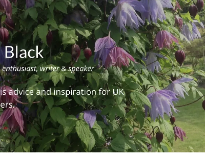 DC6B9751-D47C-4BAB-99B2-8EFC72E6229A