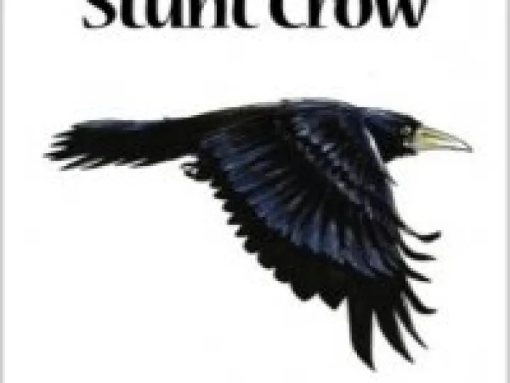 stuntcrowcoverimage