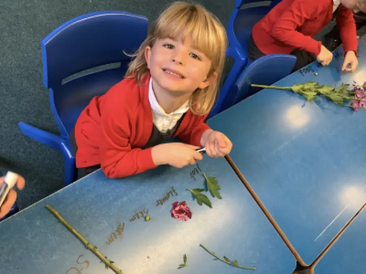 Image: 90A348B8-137E-486F-BD10-8386983FC09A