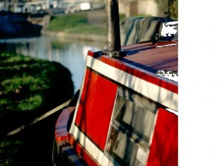 Cattle & Sheep & Boats