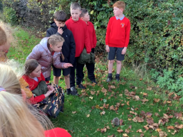 Image: 3DBAA1C5-22EE-463A-B035-36B11E11A838