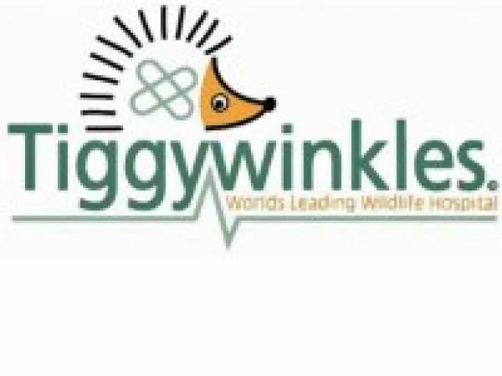 Tiggywinkles logo 02