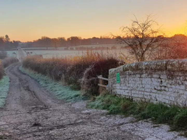 Image: 20211125_080438