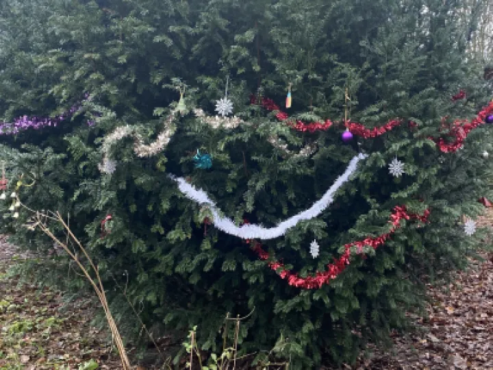 TWT Christmas tree 2021