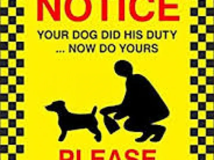 Polite Notice &ndash; Bin it