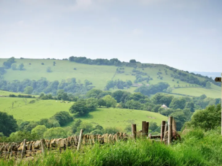 Landscape and Signpost