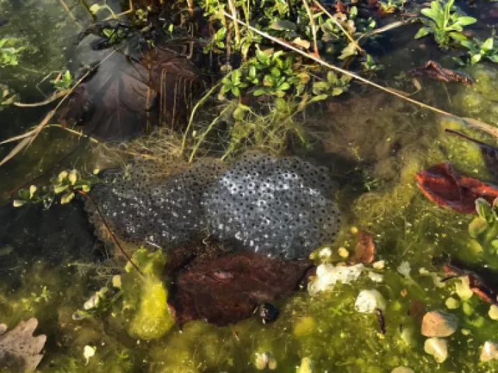 2e9da294-6602-42be-b019-a15889a060c7