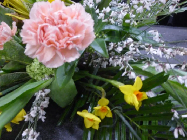 Flower Club March 2022 P1040101