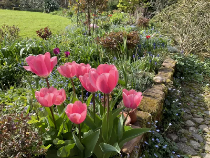 13035999-9594-4582-A256-1752313079C3