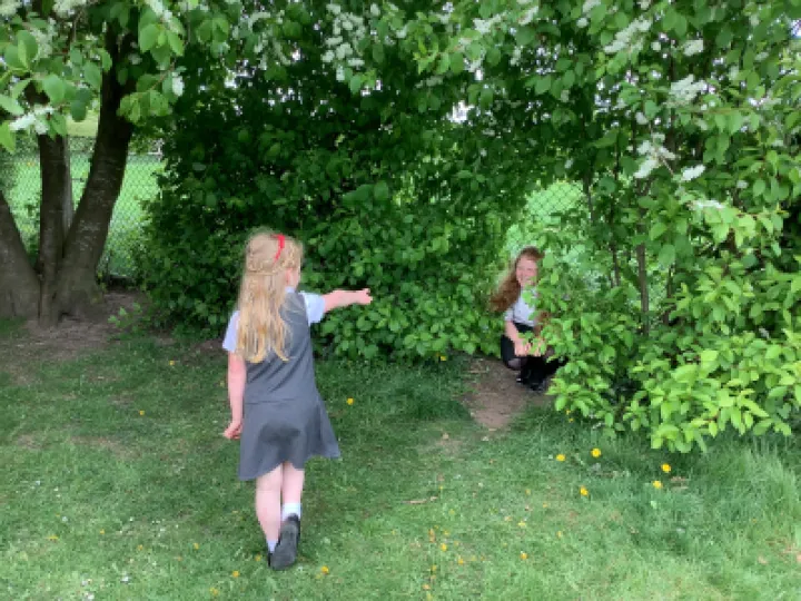 DAA48968-AC20-4A03-8964-D057D1ABBDD6