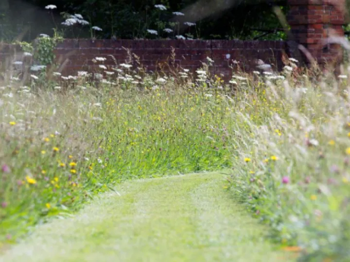 2d4808556850b87184f0ee164c02c770