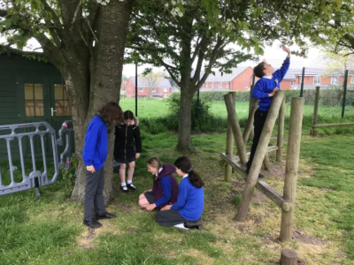 A3DB368A-D991-412D-9EE4-2A1EE5C832B7