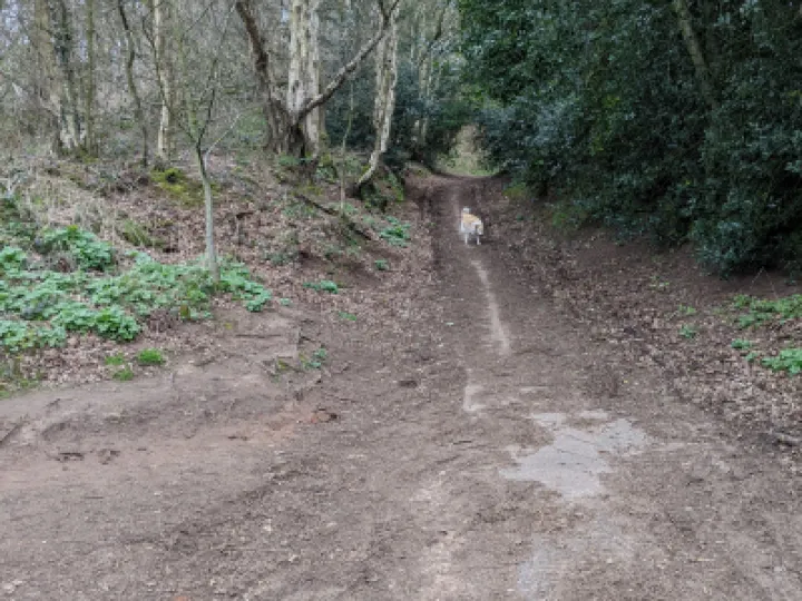 PXL_20220321_110741577-MP