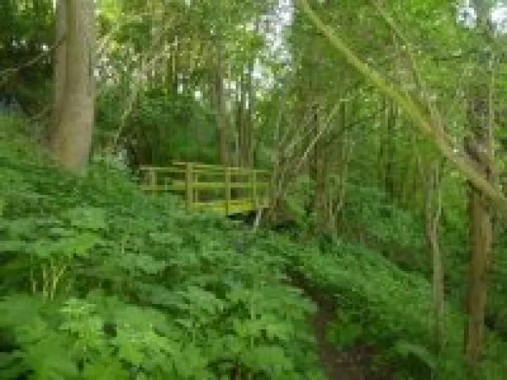 Wooden_Foot_Bridge_On_The_Woodland_Walk