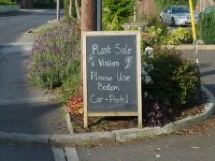 Go to the botom carpark