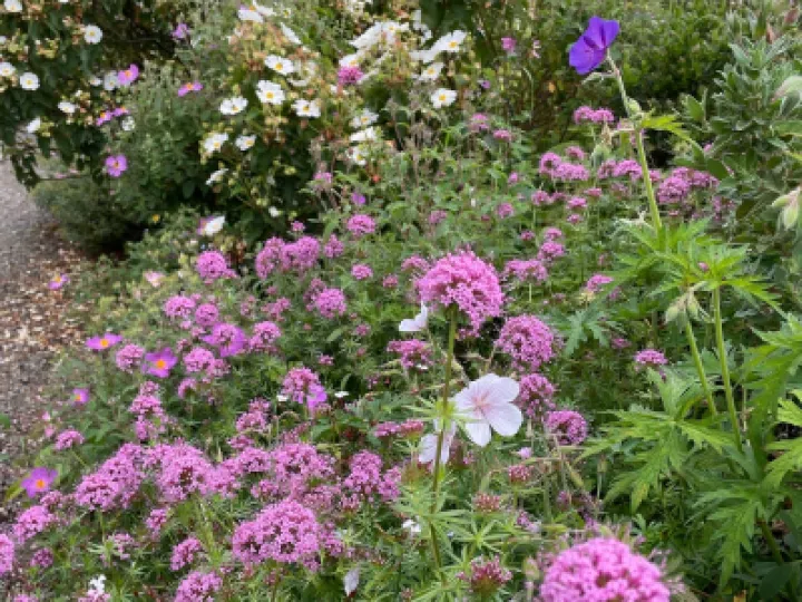 C8E5BCE8-2DB5-43FD-8DFD-A6CFE8F52CCD