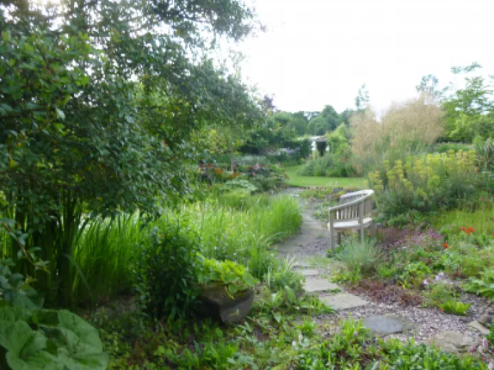 Flower Club JUne 2022 P1040149