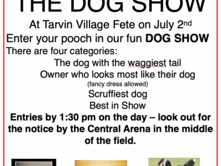 Dog Show Poster Fete 2022