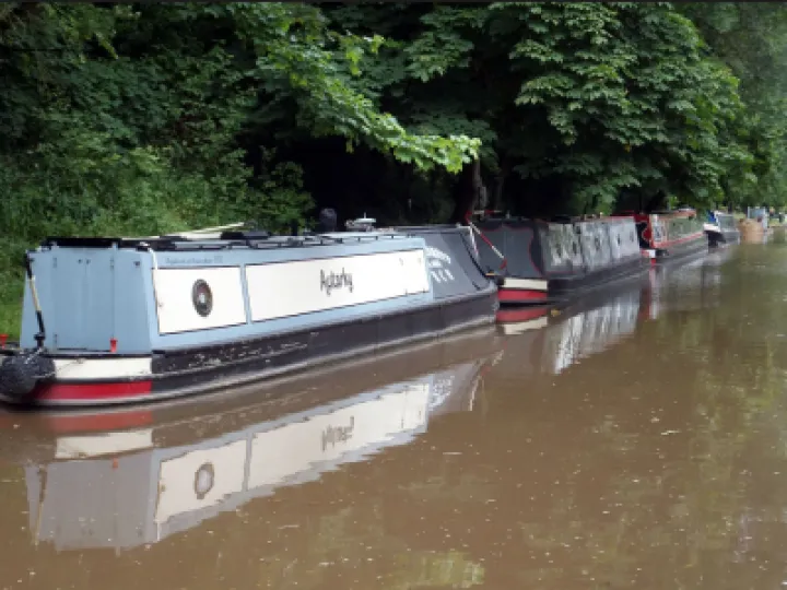 Screen Shot 2022-06-19 at 11-35-21