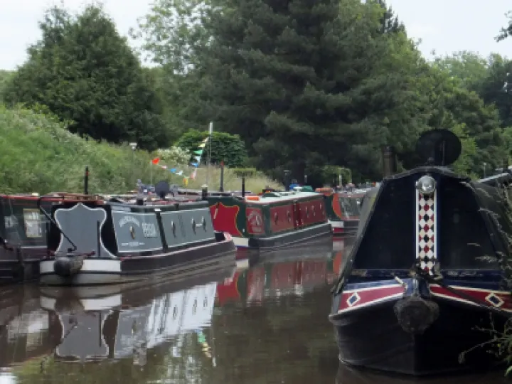 Screen Shot 2022-06-19 at 11-36-32