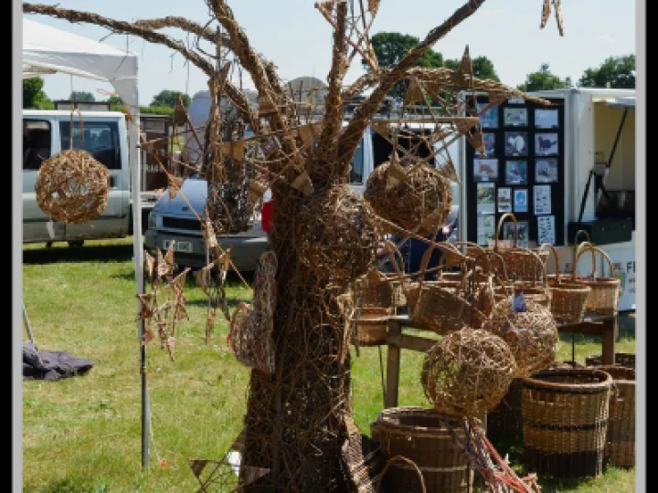 Pj 20220622 140819 0006