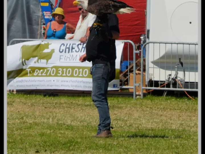 Pj 20220622 142143 0009