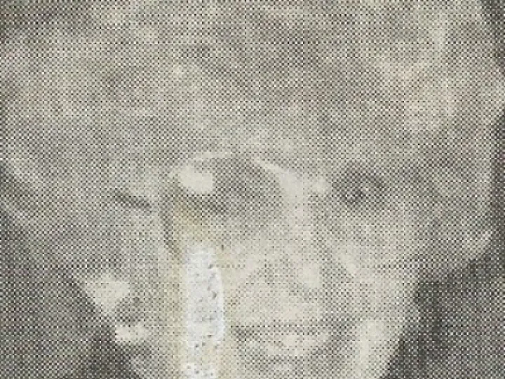 Edna Rose July 1996 PhotoScan