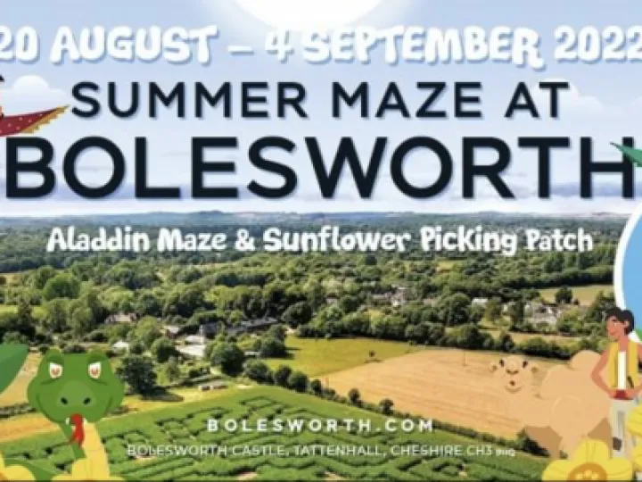 Maze at Bolesworth