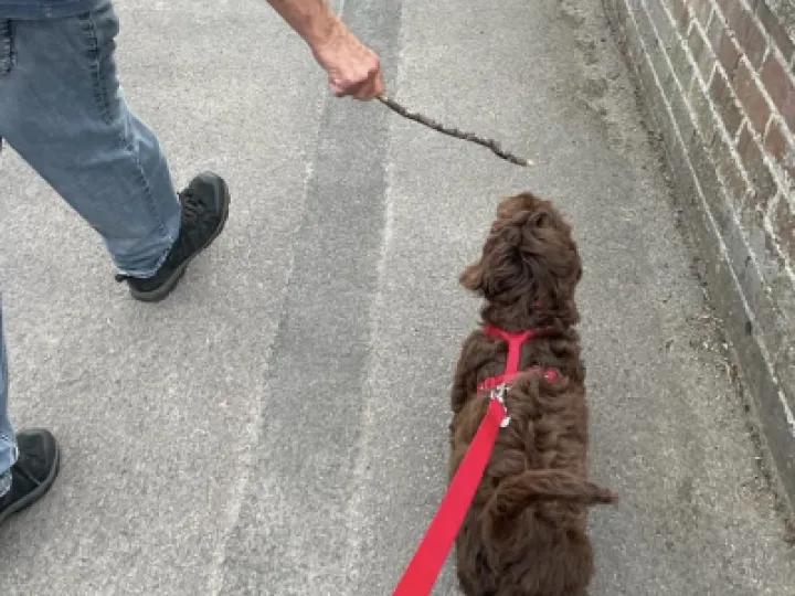 b921e360-b976-482a-a255-a1588503d3ae