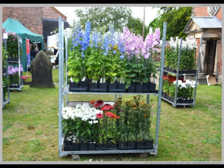 Pj 20220910 100111 0005