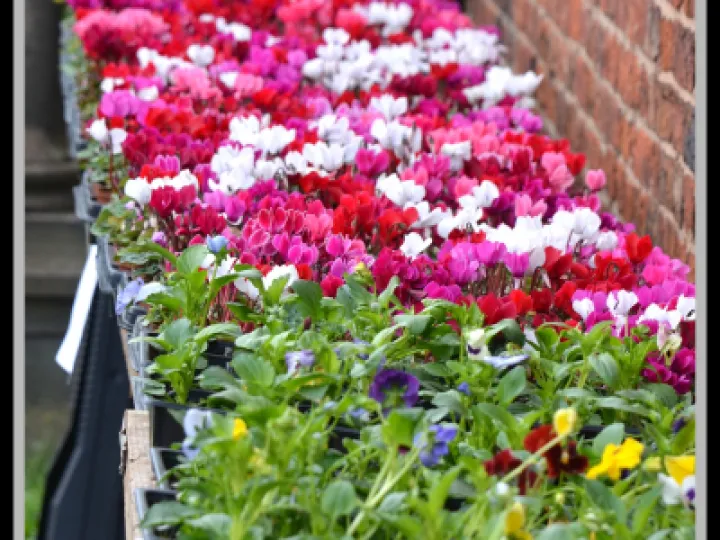 Pj 20220910 100146 0006