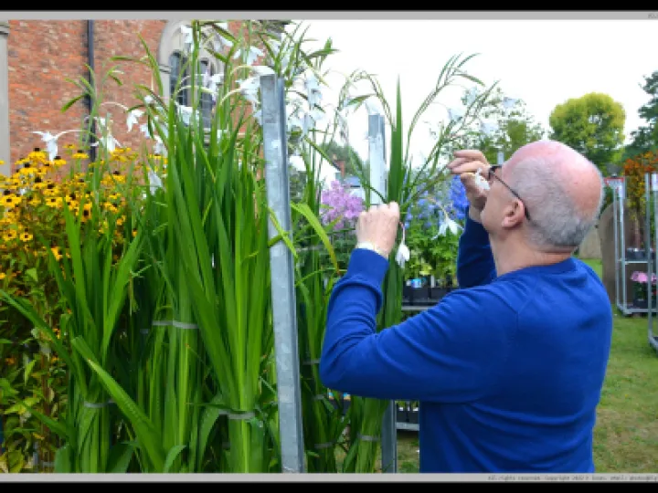 Pj 20220910 100340 0011