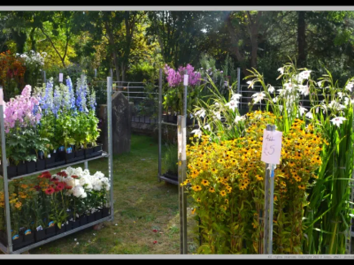 Pj 20220910 101136 0019