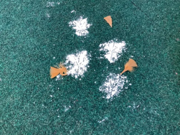 559D107E-F19E-47CD-9245-E0D96DE72252