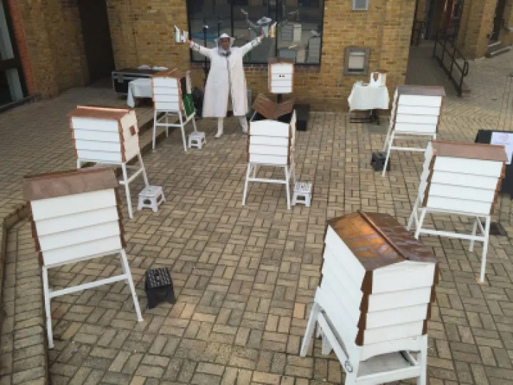 Bee Hives Image For Creative Champions Piece