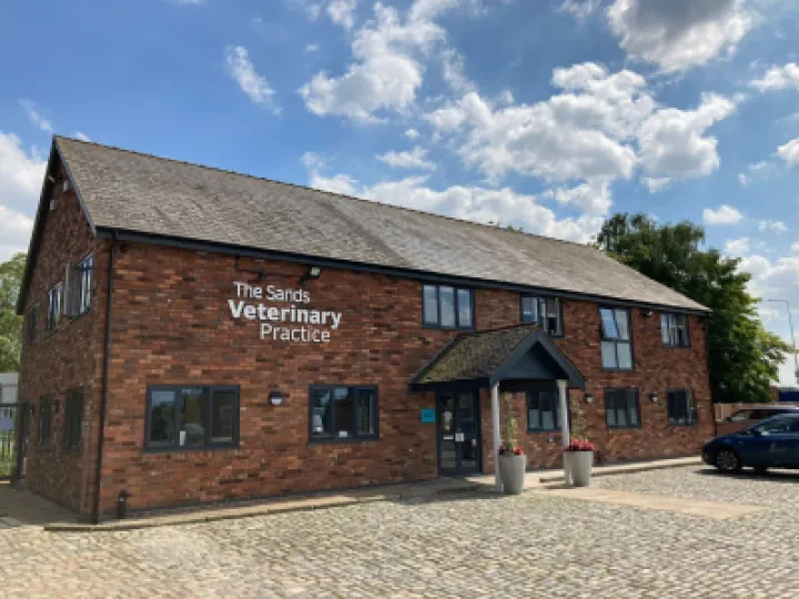 Sands vets 1