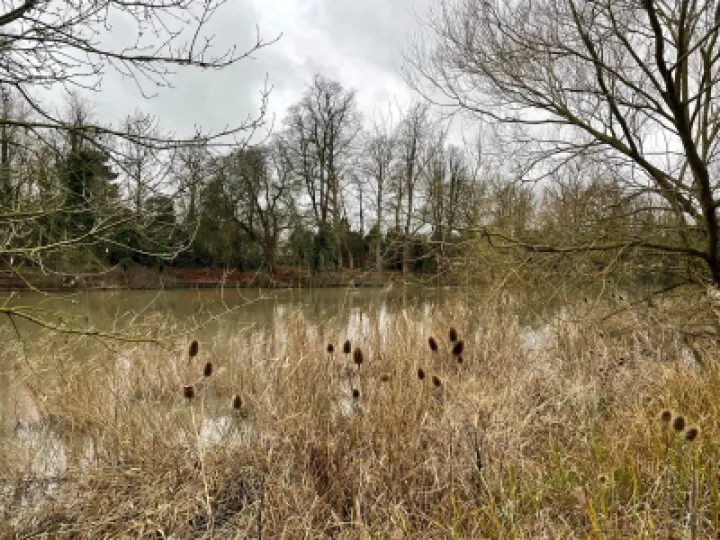 2021-12-31 Thames Path Liz Underhill