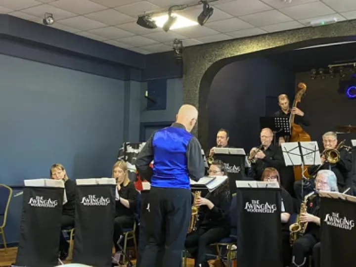 swinging woodpecker 2