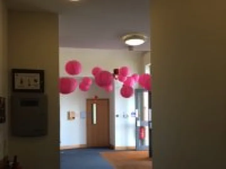 Chinese Lanterns – Lifepath