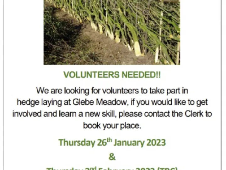 GLEBE MEADOW HEDGE LAYING