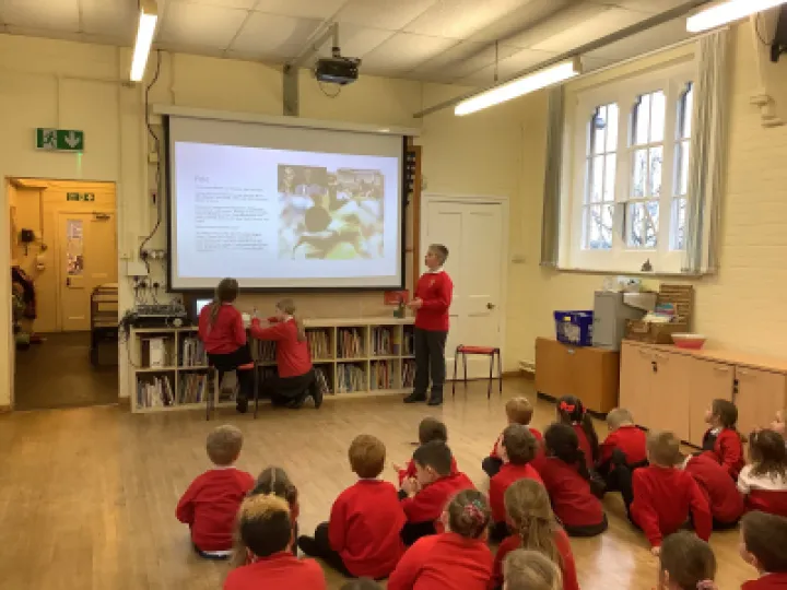 1CC31E34-AEC4-4387-A1F0-918C6781DF3E