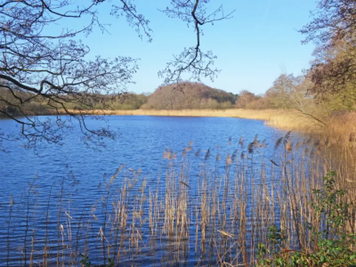 #R Ring of Bright Water s01945