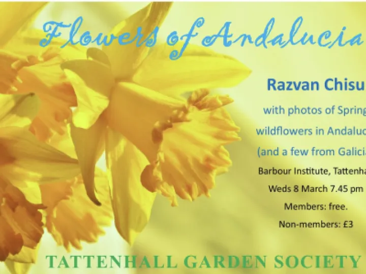 E39CFB9E-FEC1-47BB-ACCC-AA8527B5E1F3