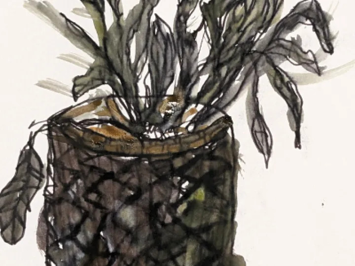 PXL_20230301_163032555