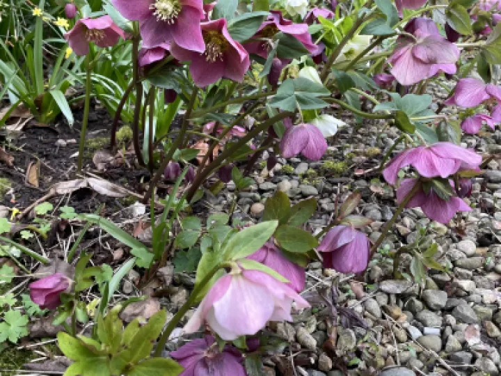 C44A0093-CB3D-43B0-B998-386597A6D254