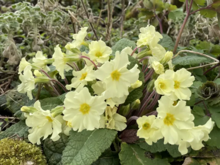 CAF2721A-D569-492F-90AE-B9780CD78C84