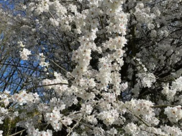 Keith Barker Photos March 2023 6688eb42 9f3c 40bb ad17 a3c0b73f6900