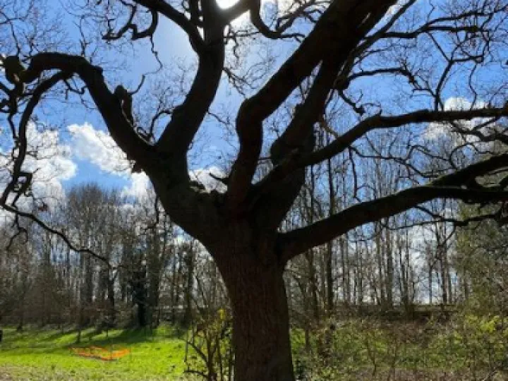 Keith Barker Photos March 2023 A6e3f1da 1d34 46c9 80b1 f4bfe8f3b9a5