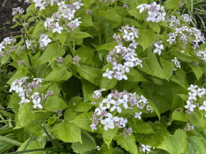 C373D555-2A41-4CCC-B7ED-EF36D9EB133B