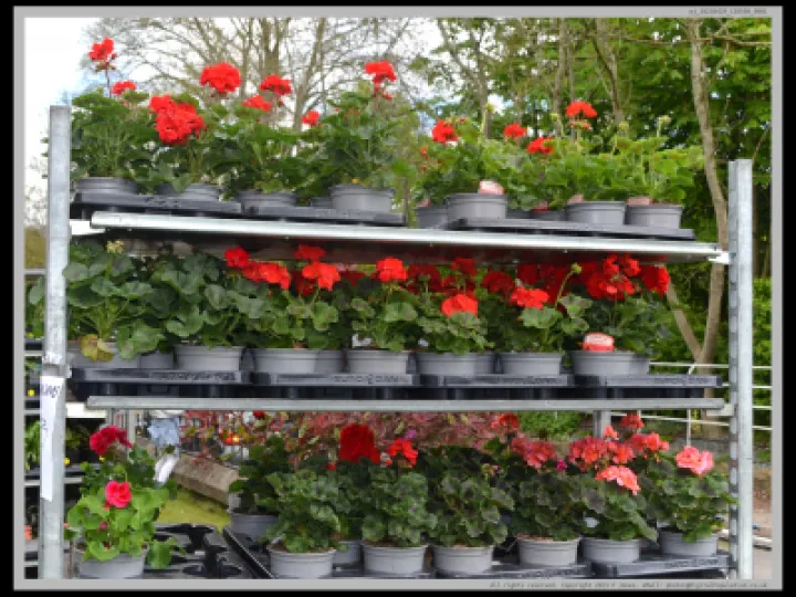 Pj 20230429 120508 0001